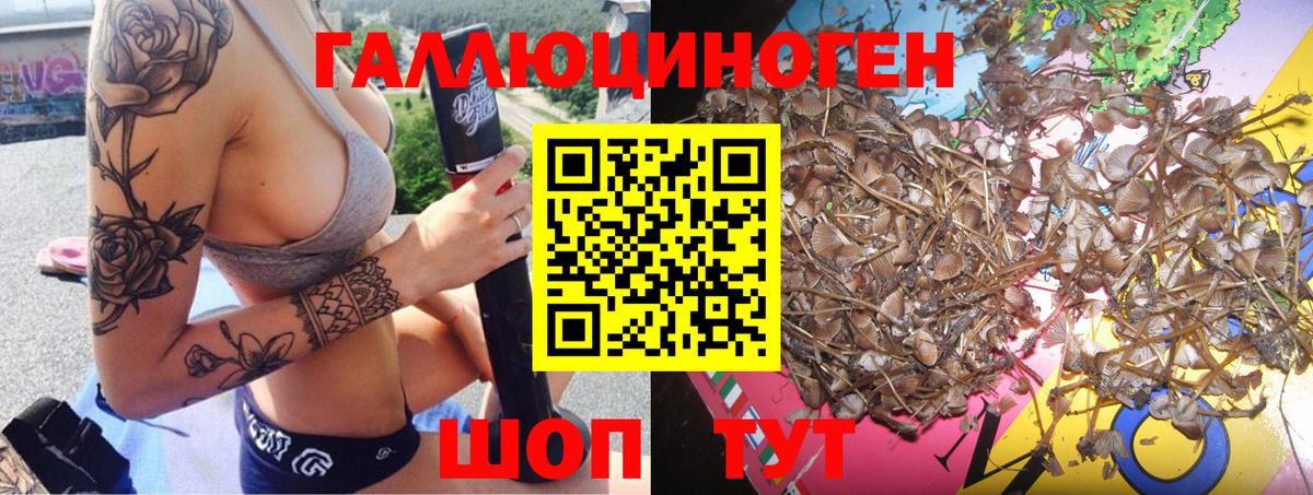 Новотроицк  Псилоцибиновые грибы мухоморы  Вход с VPN 